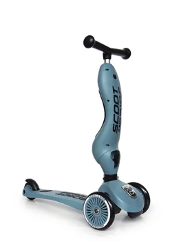2in1 Kickboard 'Highway Kick 1' steel